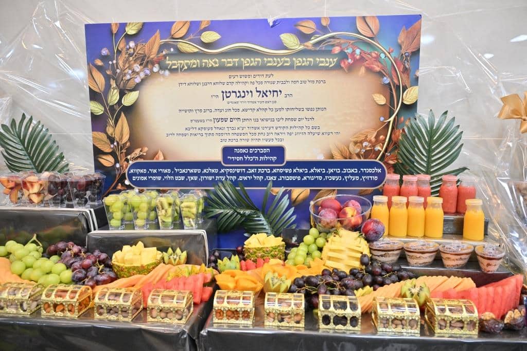 בהשתתפות אדמו"רים: תיעוד מימי השמחה אצל סגר"ע אשדוד