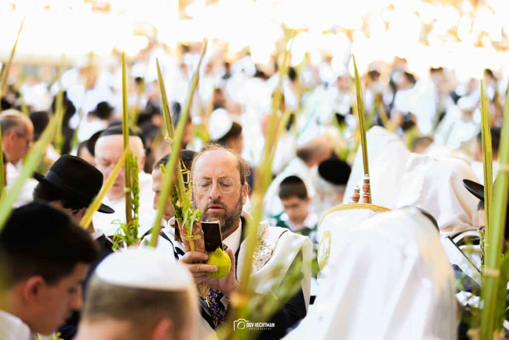 רבבות השתתפו במעמד ברכת כהנים ברחבת הכותל