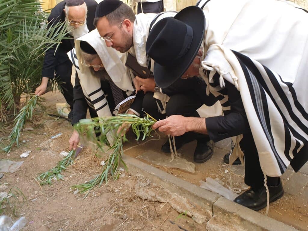 גלריה: חג הסוכות במחיצתו של רבה של בני ברק הגר"מ בן שמעון