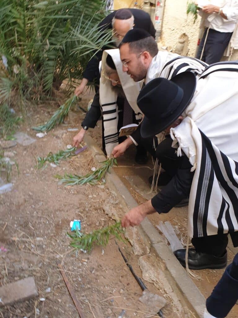 גלריה: חג הסוכות במחיצתו של רבה של בני ברק הגר"מ בן שמעון