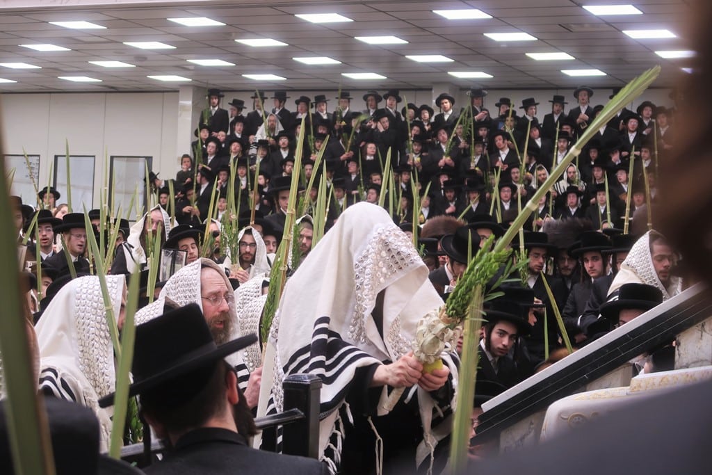 תמונות נבחרות מחג הסוכות בחצר הקודש סאטמר 