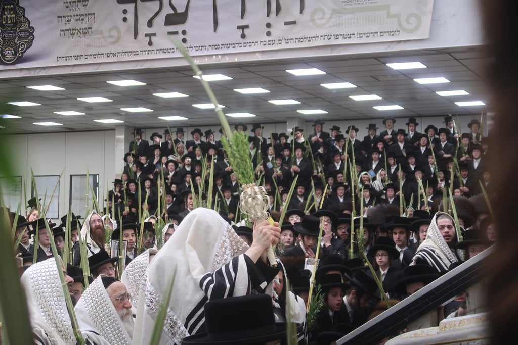 תמונות נבחרות מחג הסוכות בחצר הקודש סאטמר 