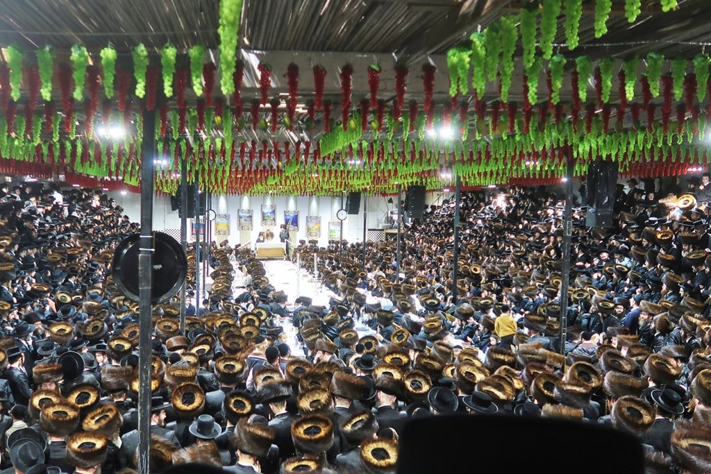 תמונות נבחרות מחג הסוכות בחצר הקודש סאטמר 