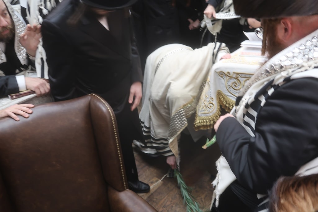 תמונות נבחרות מחג הסוכות בחצר הקודש סאטמר 