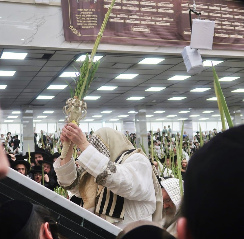 תמונות נבחרות מחג הסוכות בחצר הקודש סאטמר 
