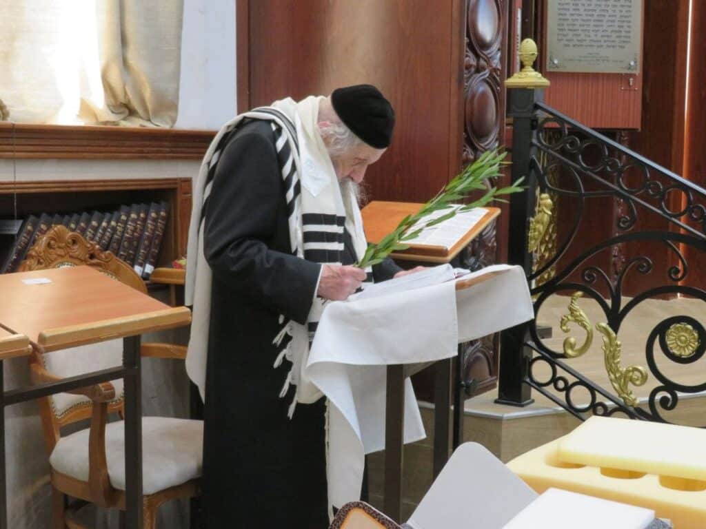 משמחת החג עד חביטת הערבות: סוכות בבית מרן הגר"ד לנדו