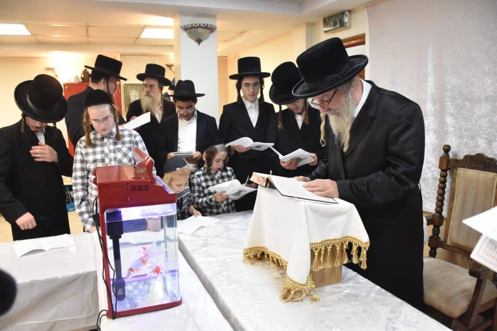 מהתשליך עד קידוש לבנה: מראות מחצר הקודש אשלג