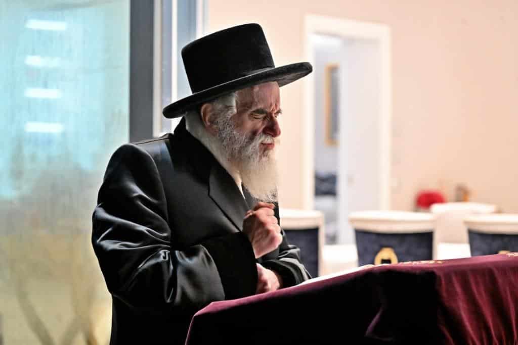 גלריית ענק: נמשך מסע האדמו"ר מויז'ניץ בליקווד