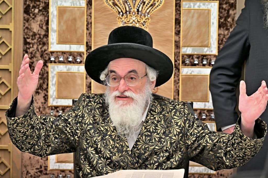 גלריית ענק: נמשך מסע האדמו"ר מויז'ניץ בליקווד