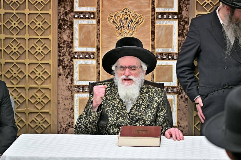 גלריית ענק: נמשך מסע האדמו"ר מויז'ניץ בליקווד