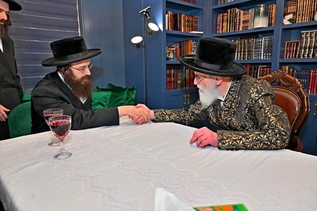 גלריית ענק: נמשך מסע האדמו"ר מויז'ניץ בליקווד