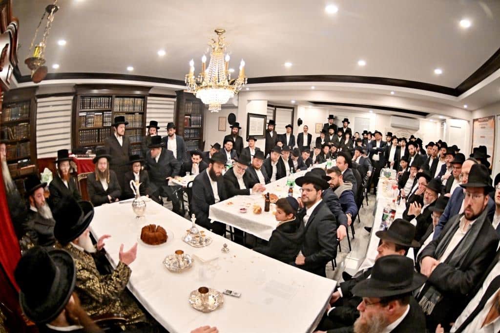 גלריית ענק: נמשך מסע האדמו"ר מויז'ניץ בליקווד