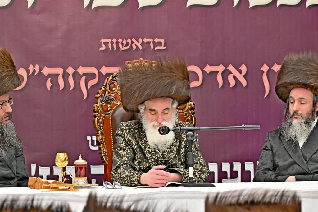 גלריית ענק: נמשך מסע האדמו"ר מויז'ניץ בליקווד