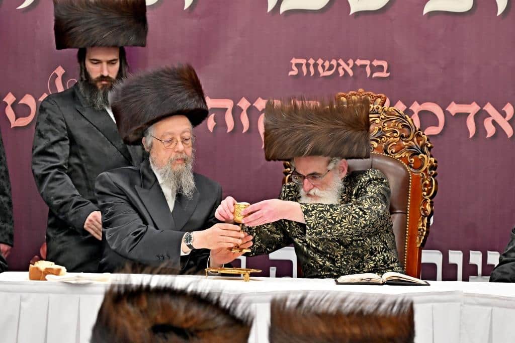 גלריית ענק: נמשך מסע האדמו"ר מויז'ניץ בליקווד