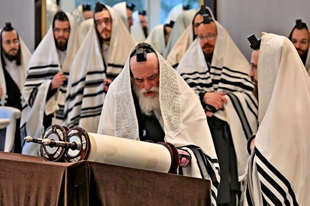 גלריית ענק: נמשך מסע האדמו"ר מויז'ניץ בליקווד