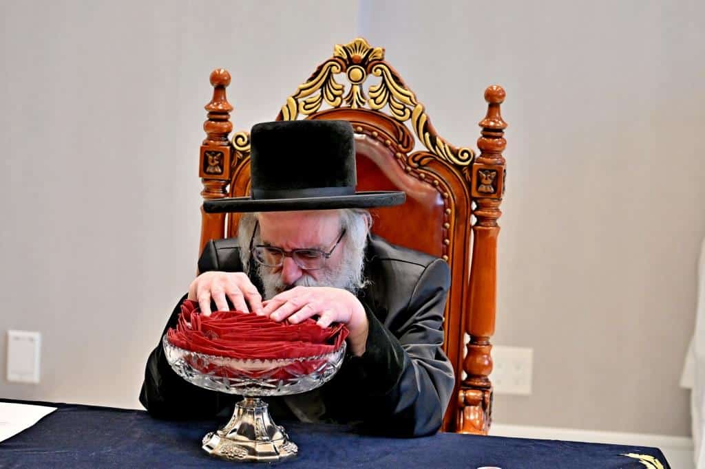 גלריית ענק: נמשך מסע האדמו"ר מויז'ניץ בליקווד