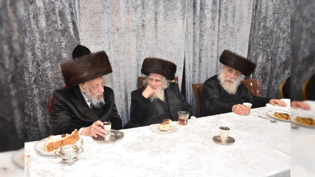 בתל אביב ציינו את הילולת ה"אביר יעקב" מסדיגורא