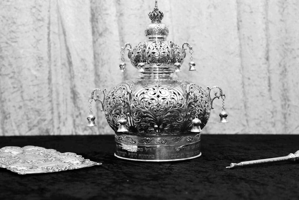 בהשתתפות בן האדמו"ר: ספר תורה הופקד עד ביאת המשיח