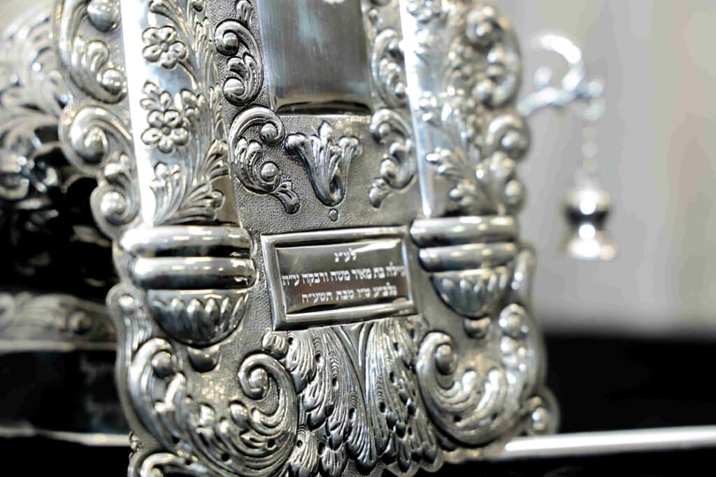 בהשתתפות בן האדמו"ר: ספר תורה הופקד עד ביאת המשיח