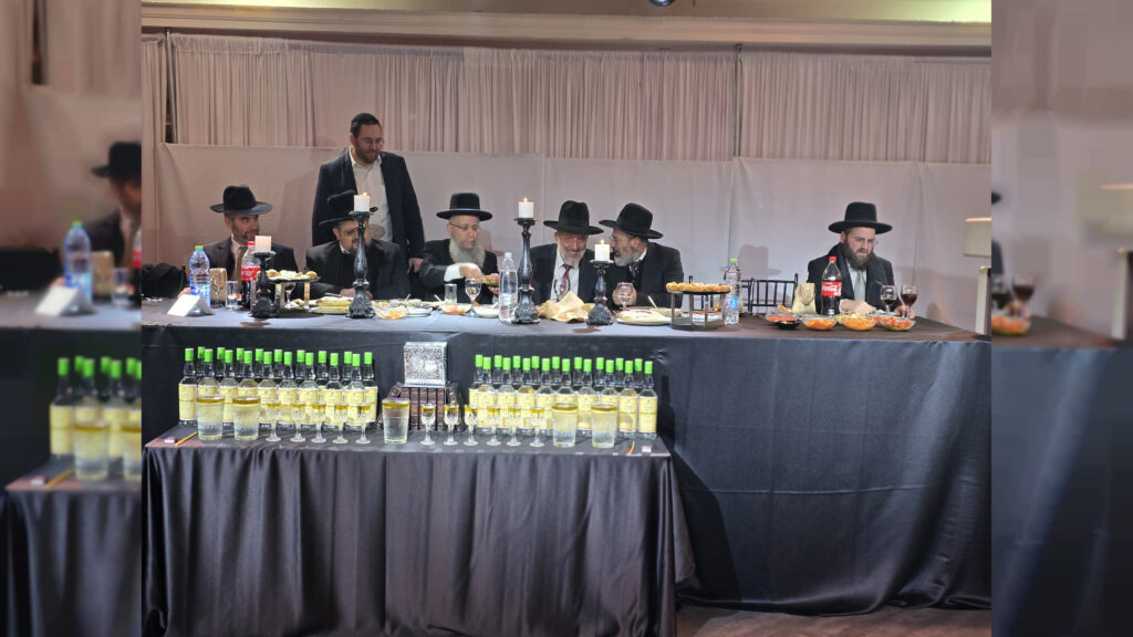 המונים חגגו בהילולא הגדולה לזכר הצדיק רבי יצחק אבוחצירה זיע"א המונים חגגו בהילולא הגדולה לזכר הצדיק רבי יצחק אבוחצירה זיע"א