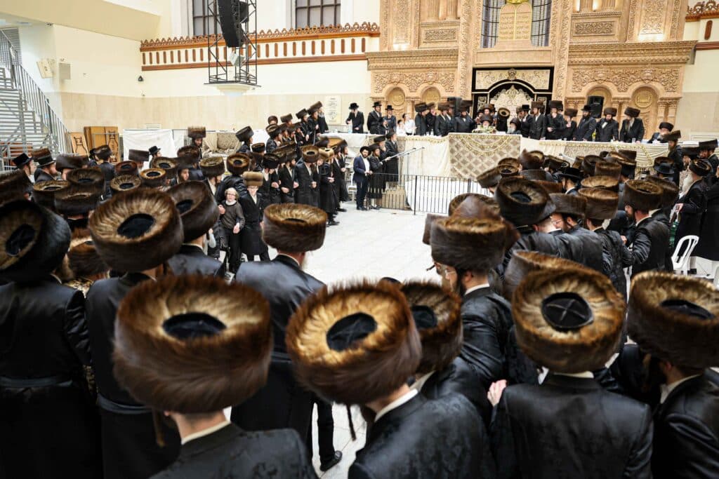 מהחופה ועד למצווה טאנץ: שמחת נישואי נכדת האדמו"ר מויז'ניץ