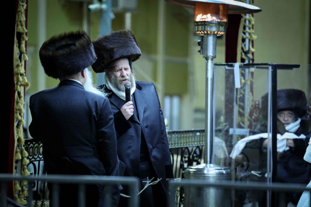 מהחופה ועד למצווה טאנץ: שמחת נישואי נכדת האדמו"ר מויז'ניץ