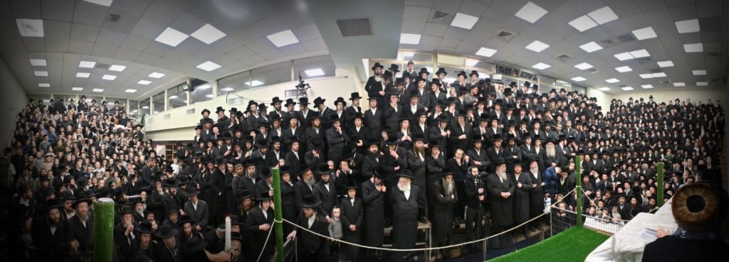 בנדבורנא ירושלים פדו את החמור בטיש ט"ו בשבט