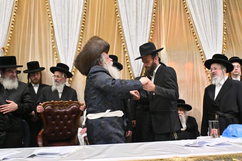 בנדבורנא ירושלים פדו את החמור בטיש ט"ו בשבט