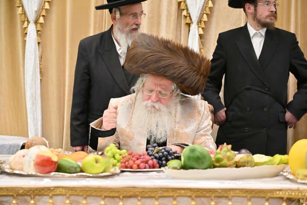 בנדבורנא ירושלים פדו את החמור בטיש ט"ו בשבט