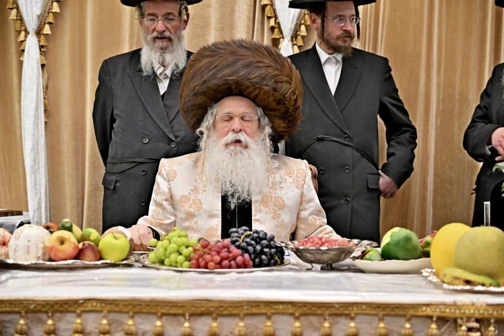 בנדבורנא ירושלים פדו את החמור בטיש ט"ו בשבט