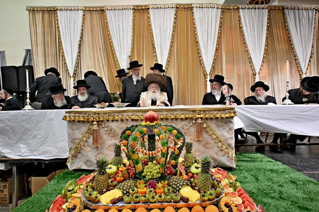 בנדבורנא ירושלים פדו את החמור בטיש ט"ו בשבט