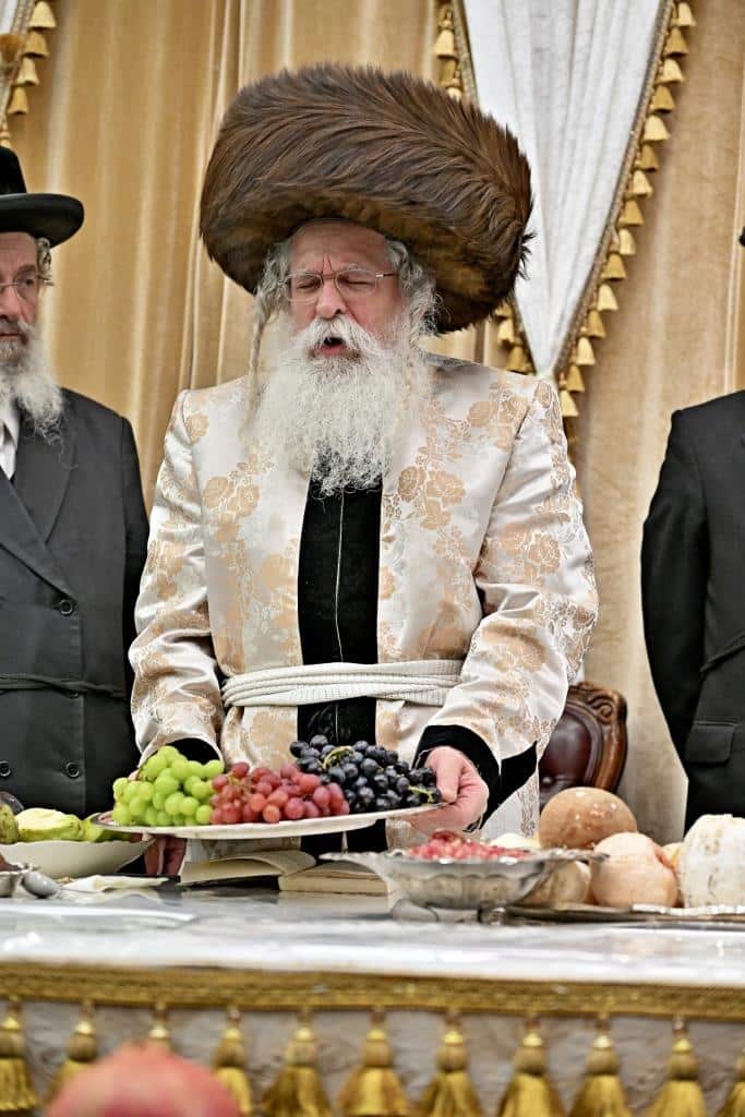 בנדבורנא ירושלים פדו את החמור בטיש ט"ו בשבט