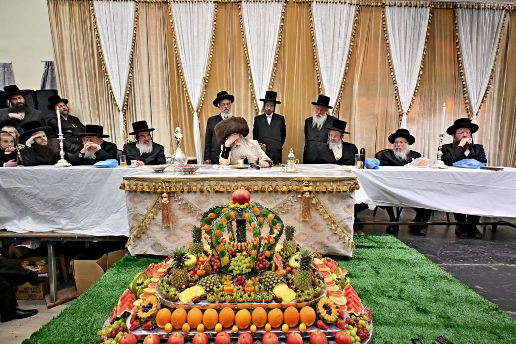 בנדבורנא ירושלים פדו את החמור בטיש ט"ו בשבט