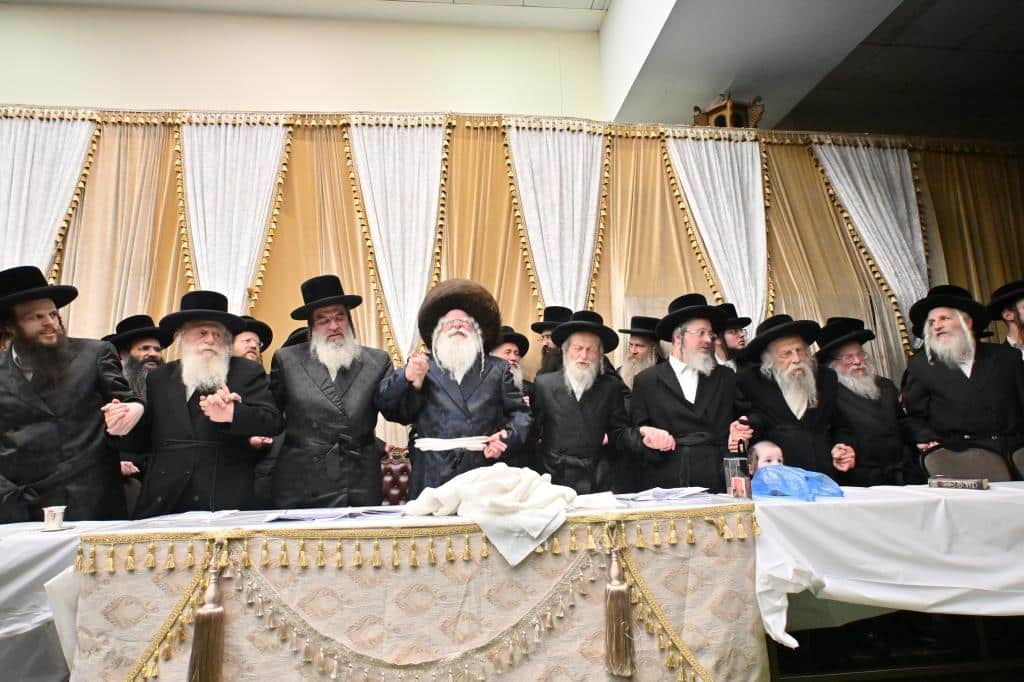 בנדבורנא ירושלים פדו את החמור בטיש ט"ו בשבט