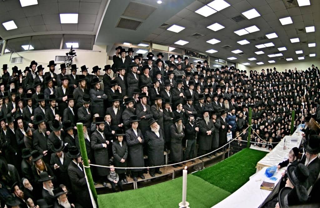 בנדבורנא ירושלים פדו את החמור בטיש ט"ו בשבט