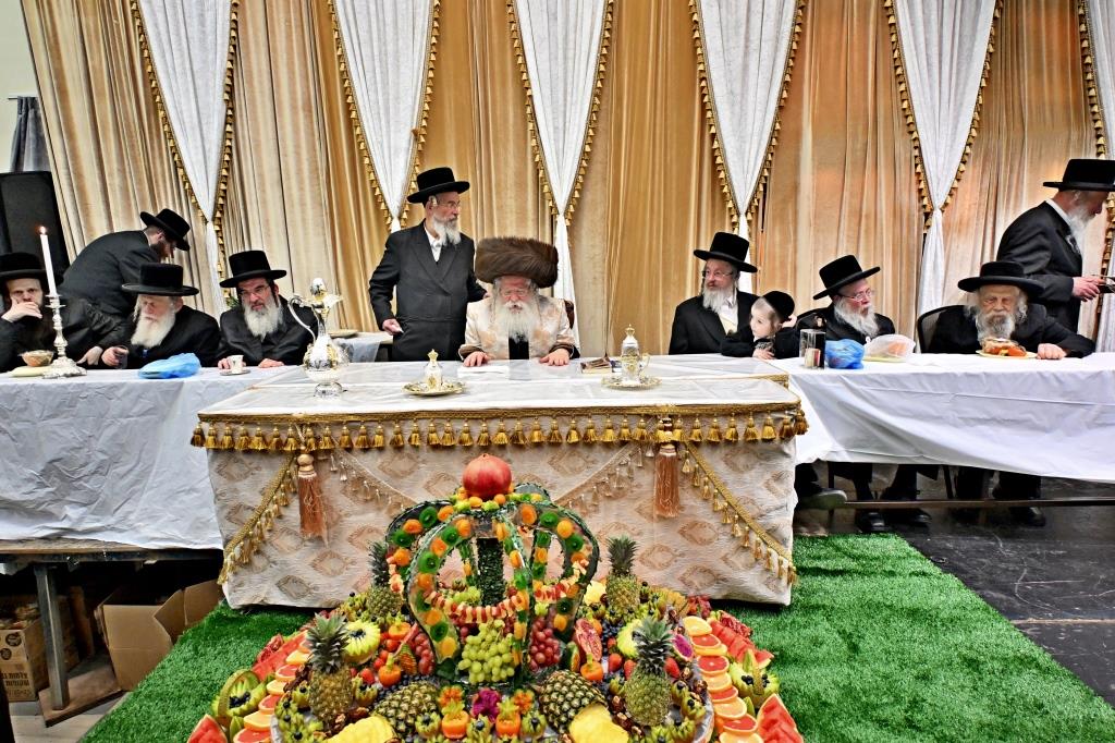 בנדבורנא ירושלים פדו את החמור בטיש ט"ו בשבט