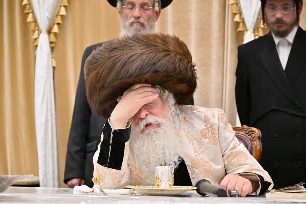 בנדבורנא ירושלים פדו את החמור בטיש ט"ו בשבט