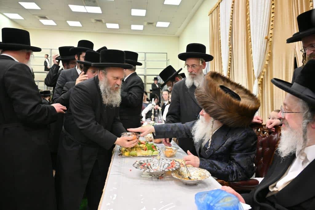 בנדבורנא ירושלים פדו את החמור בטיש ט"ו בשבט