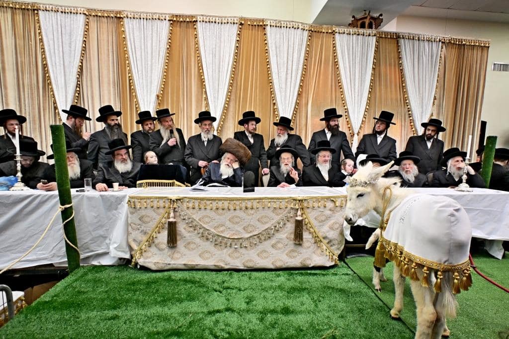 בנדבורנא ירושלים פדו את החמור בטיש ט"ו בשבט