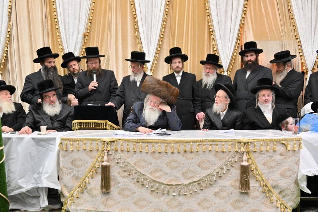 בנדבורנא ירושלים פדו את החמור בטיש ט"ו בשבט