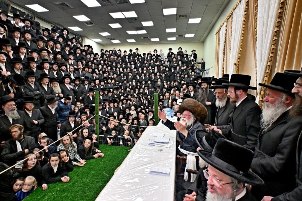 בנדבורנא ירושלים פדו את החמור בטיש ט"ו בשבט