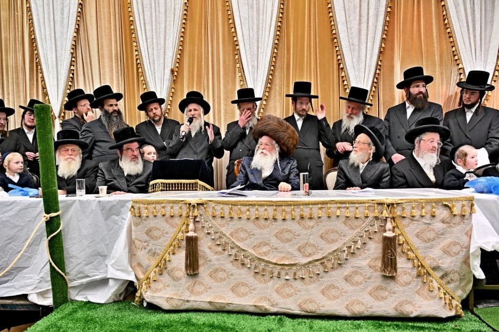 בנדבורנא ירושלים פדו את החמור בטיש ט"ו בשבט