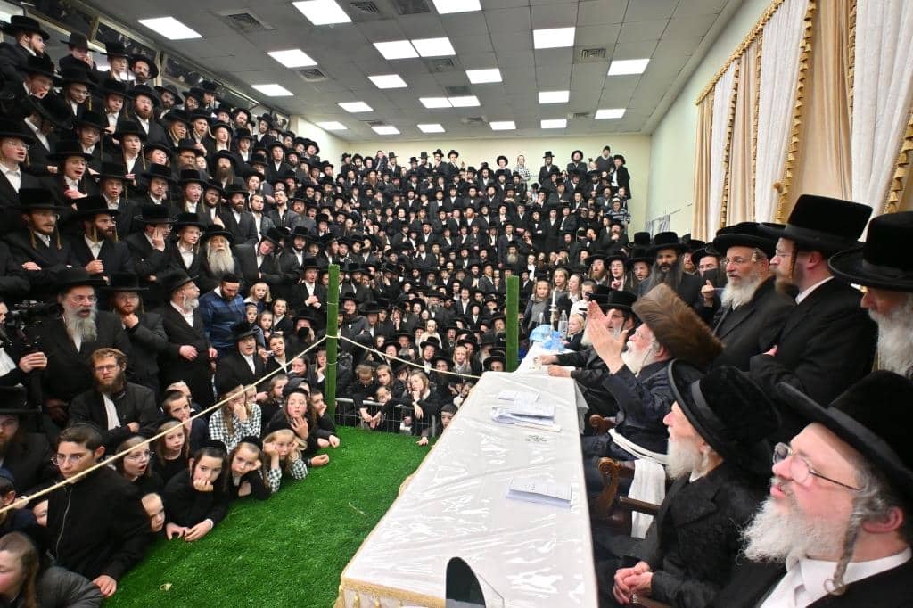 בנדבורנא ירושלים פדו את החמור בטיש ט"ו בשבט