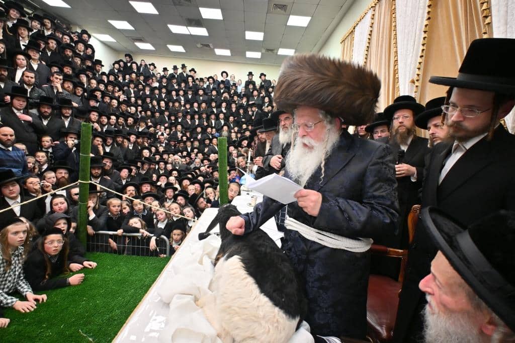 בנדבורנא ירושלים פדו את החמור בטיש ט"ו בשבט