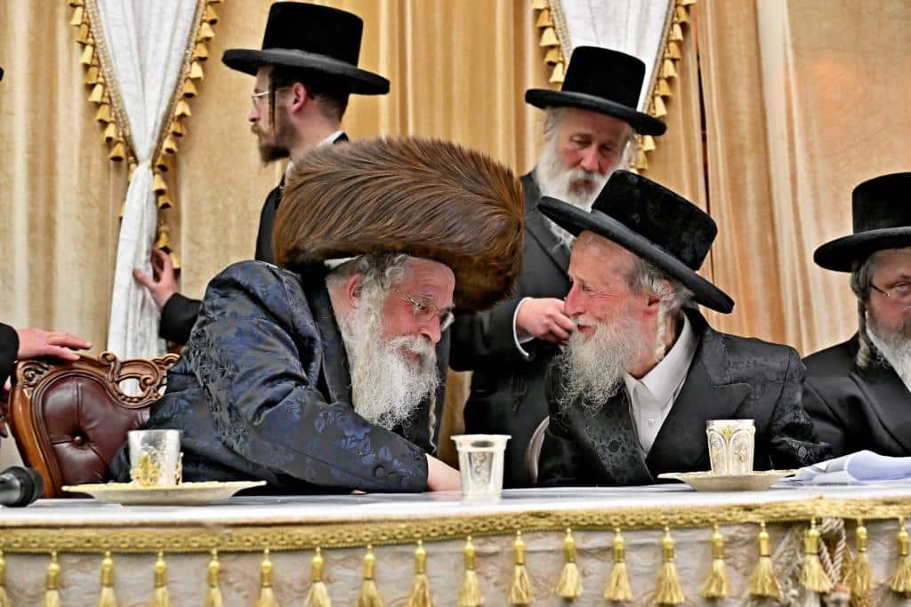 בנדבורנא ירושלים פדו את החמור בטיש ט"ו בשבט