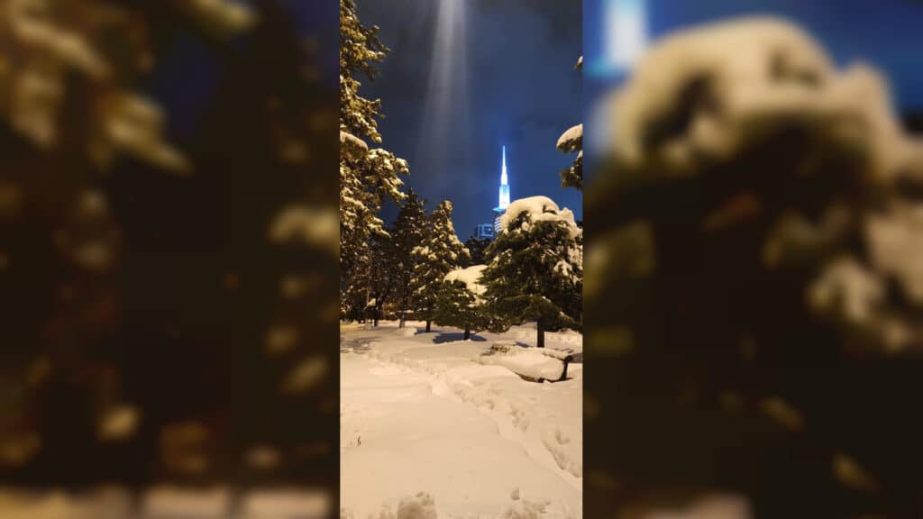 סופה חריגה בבטומי - עשרות ישראלים נתקעו ללא יכולת לשוב