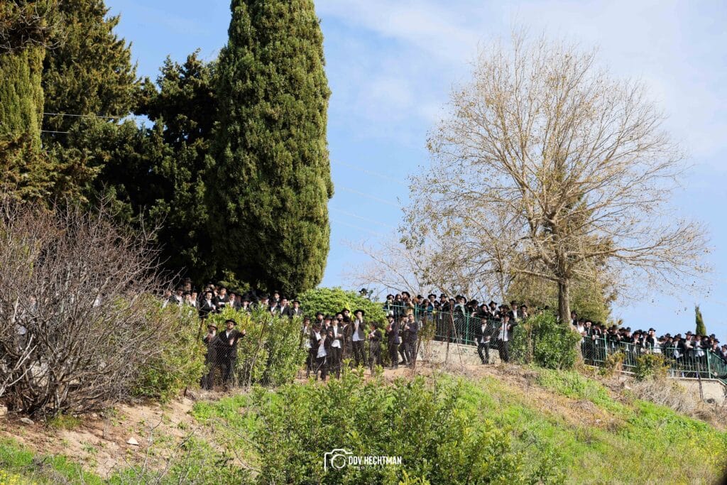 במעמד רבבות: ראש הישיבה הובא למנוחות - בניו הוכתרו למ"מ