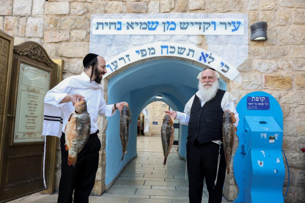 תיעוד: קריאת המגילה והכנות לסעודה בציון הרשב"י במירון