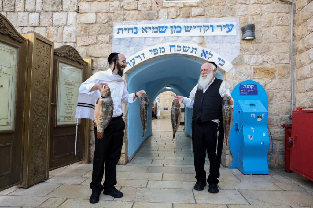 תיעוד: קריאת המגילה והכנות לסעודה בציון הרשב"י במירון