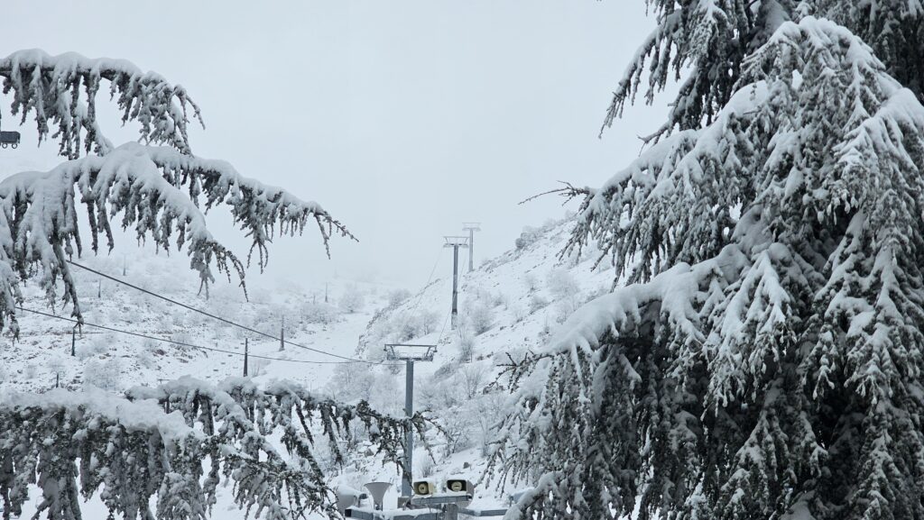 24 ס"מ במפלס התחתון: החרמון התכסה בשלג • תיעוד